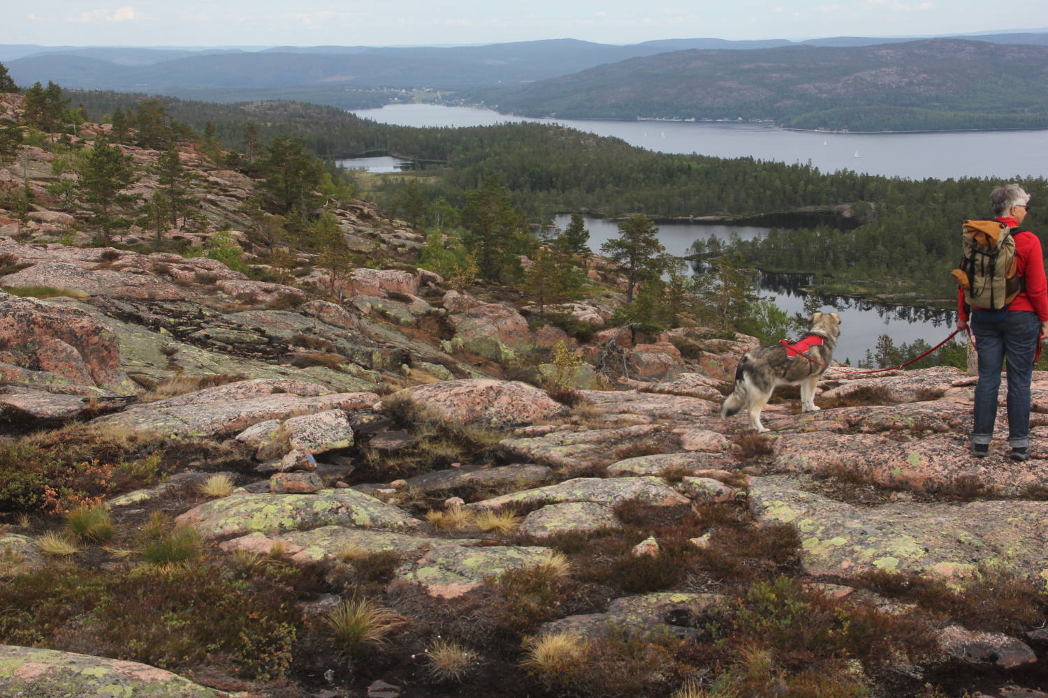 Skuleskogens Nationalpark