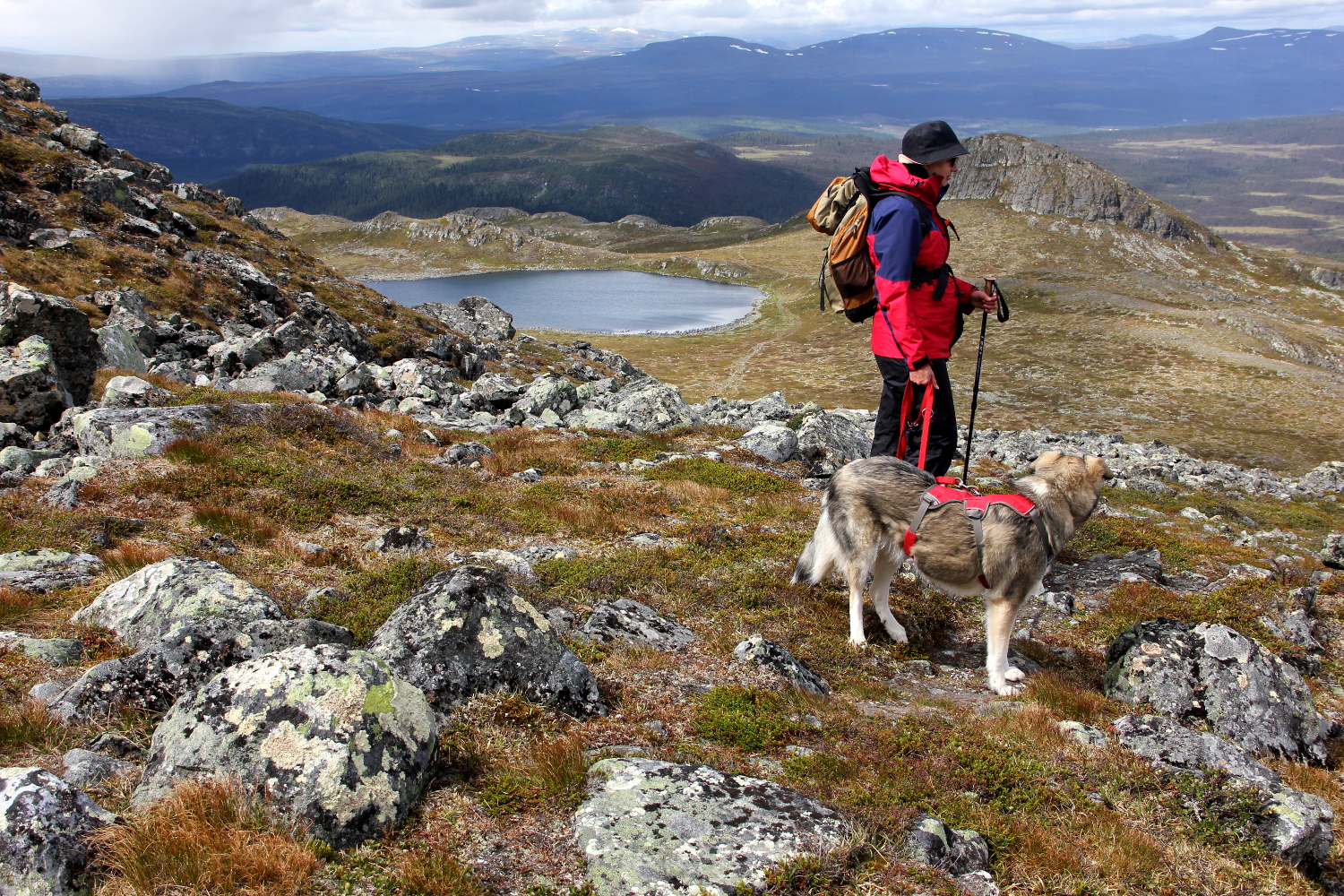 Gipfelbesteigung des Ånnfjället (1301m)