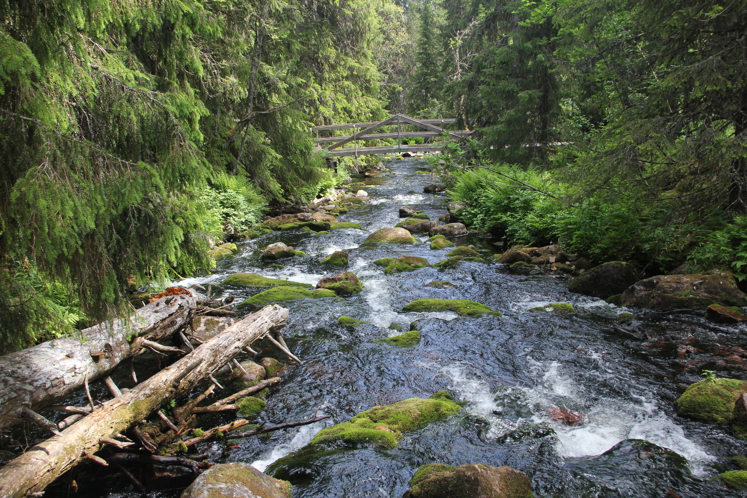 Fulufjället Nationalpark