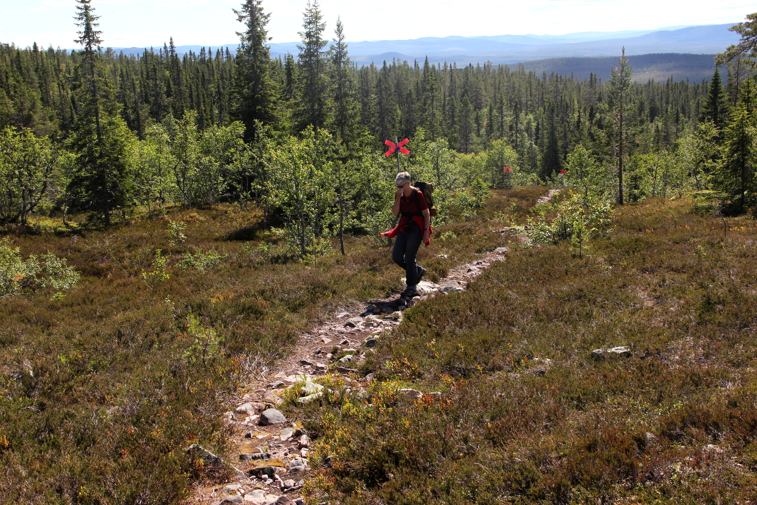 Wanderung auf den Stornärfjellet (930m Höhe)