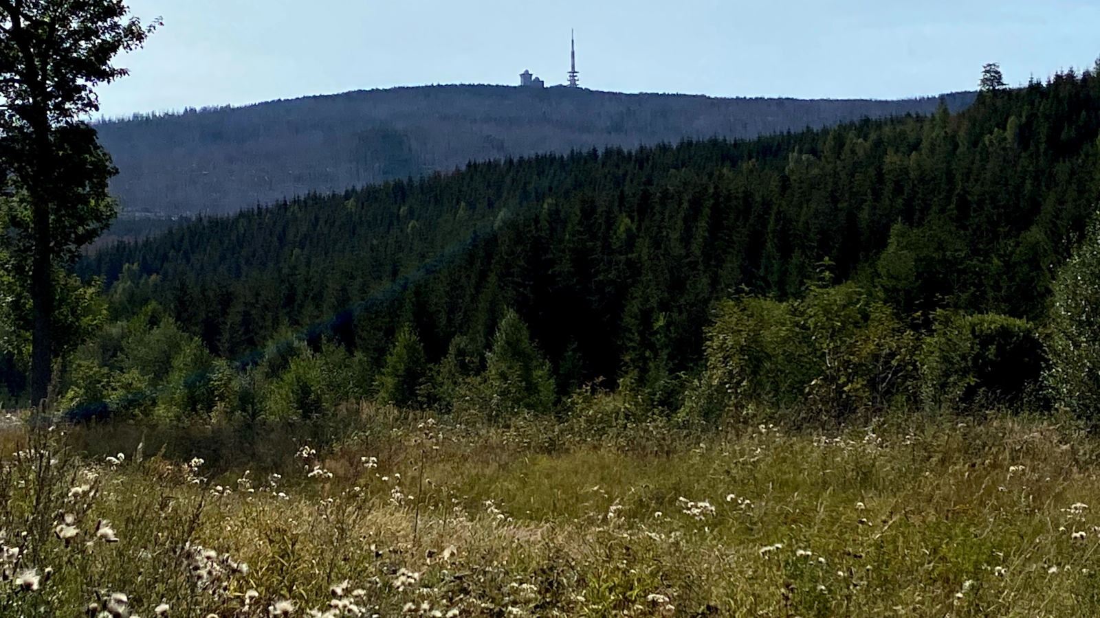 IMG_0598_Harz_2020-09-13_Ilsenburg_1600px_900px.jpg